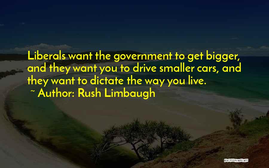 Smaller Government Quotes By Rush Limbaugh