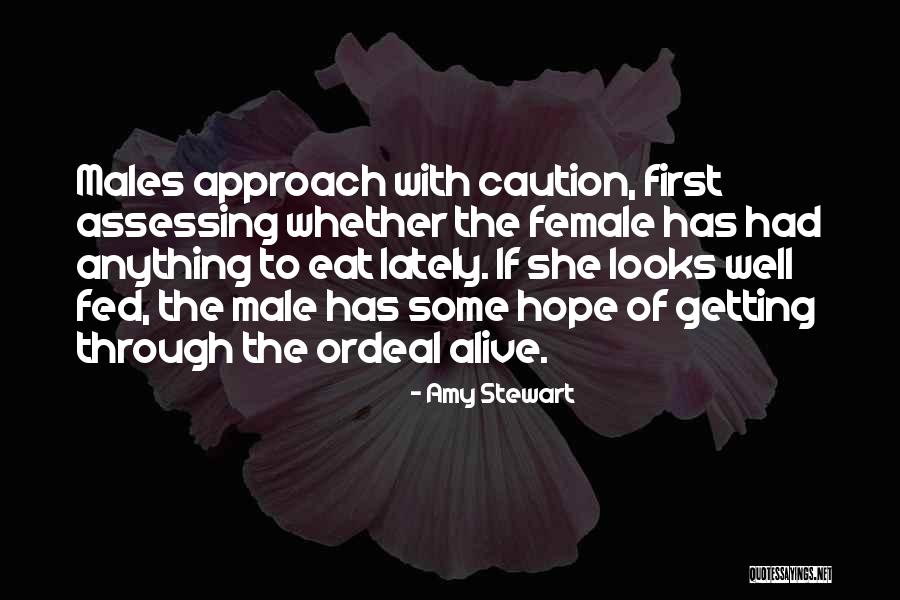 Smallest State Quotes By Amy Stewart Smallest State Quotes By Amy Stewart