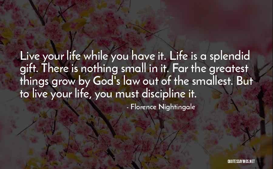Smallest Things In Life Quotes By Florence Nightingale Smallest Things In Life Quotes By Florence Nightingale