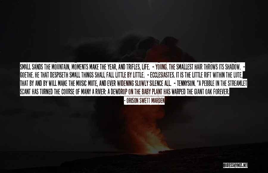 Smallest Things In Life Quotes By Orison Swett Marden Smallest Things In Life Quotes By Orison Swett Marden