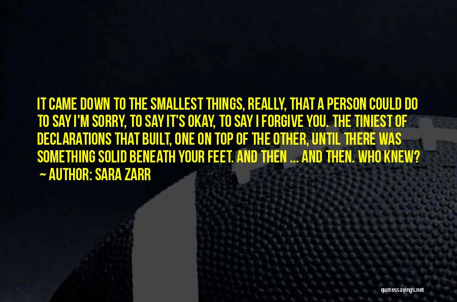 Smallest Things Quotes By Sara Zarr