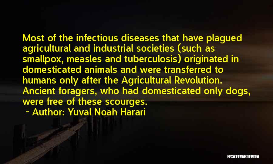 Smallpox Best Quotes By Yuval Noah Harari