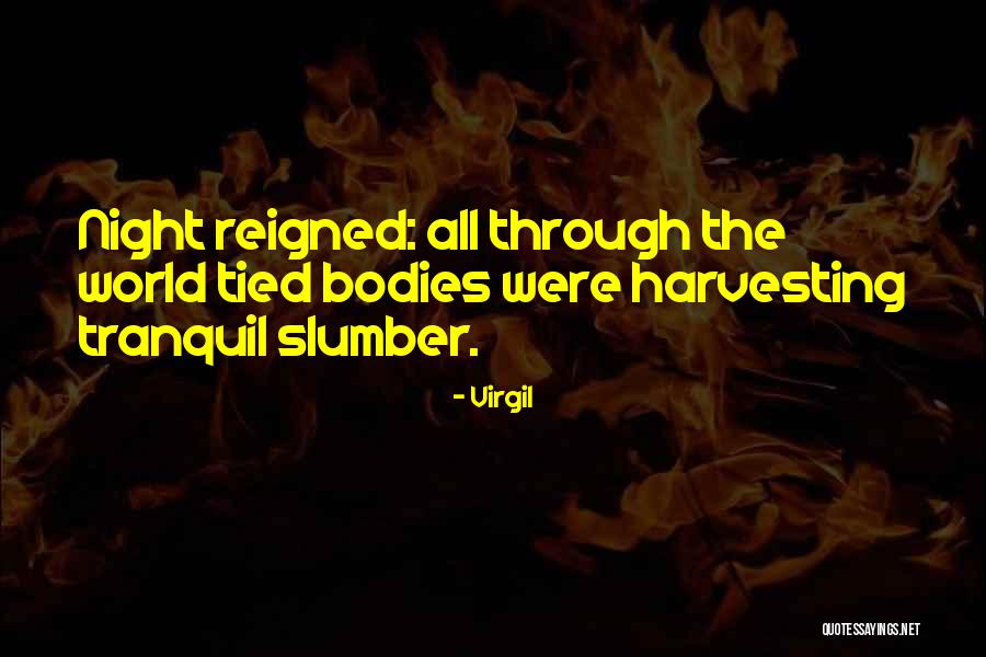 Smalltalk Or Small Quotes By Virgil Smalltalk Or Small Quotes By Virgil