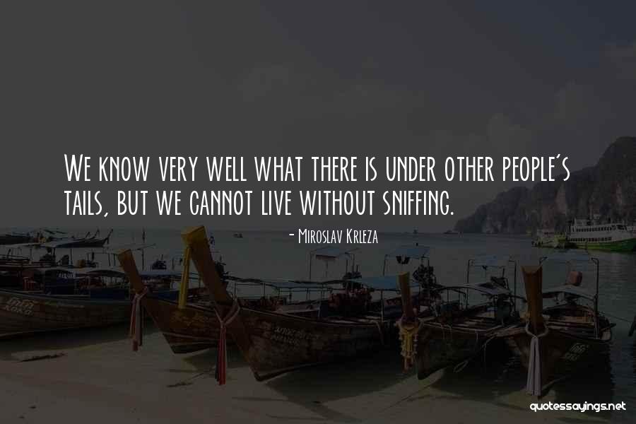 Smania Furniture Quotes By Miroslav Krleza Smania Furniture Quotes By Miroslav Krleza