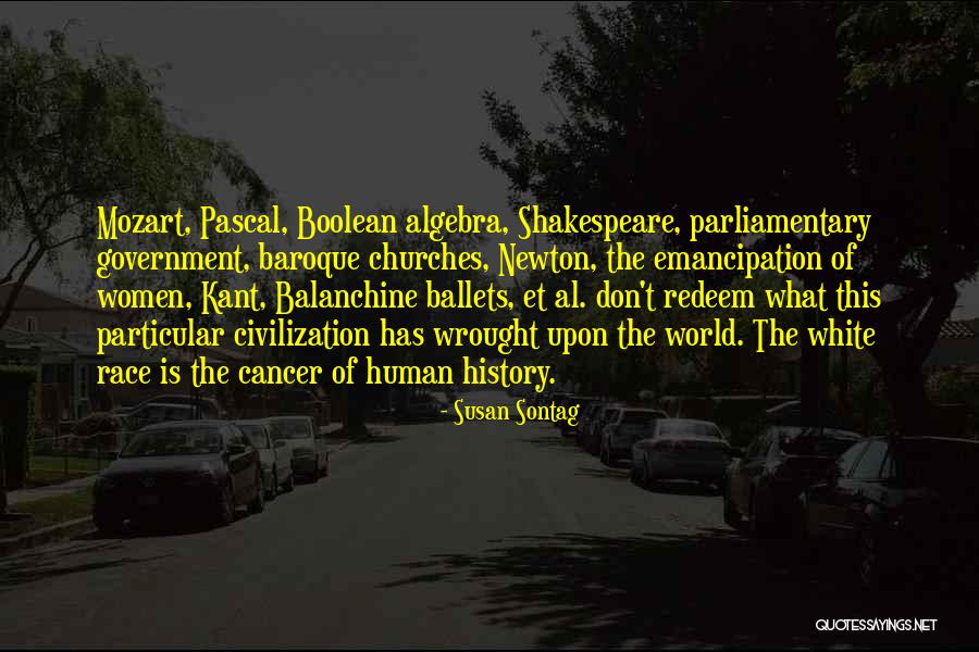 Smaragdov Zahrada Quotes By Susan Sontag Smaragdov Zahrada Quotes By Susan Sontag