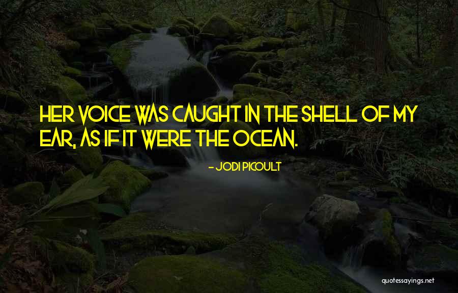 Smaranda Rutzui Quotes By Jodi Picoult