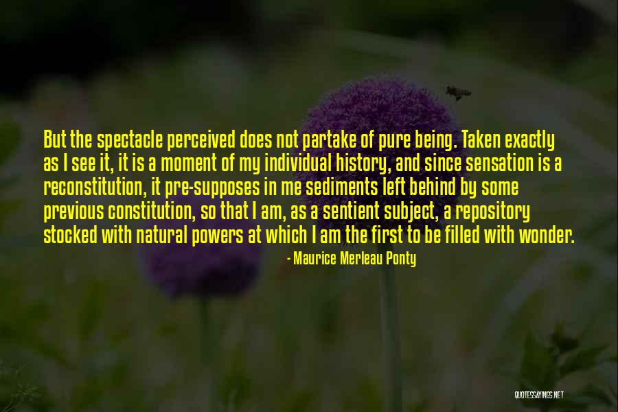 Smaranda Stirbu Quotes By Maurice Merleau Ponty Smaranda Stirbu Quotes By Maurice Merleau Ponty