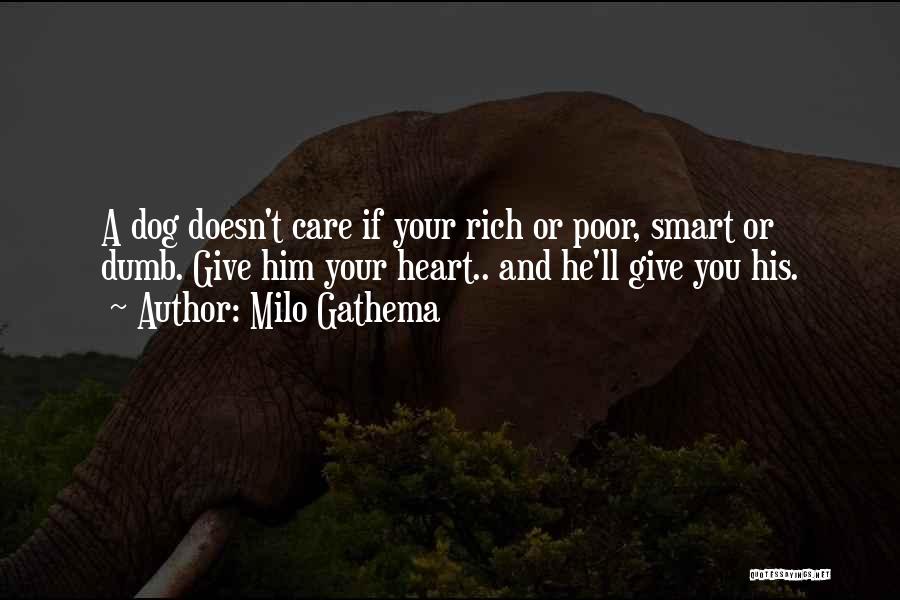 Smart Dogs Quotes By Milo Gathema