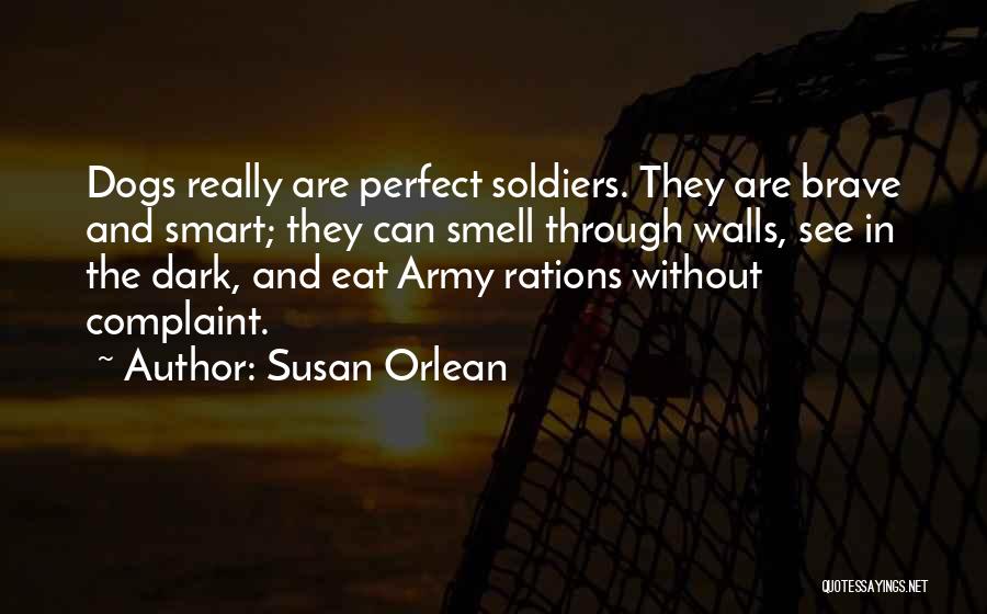 Smart Dogs Quotes By Susan Orlean