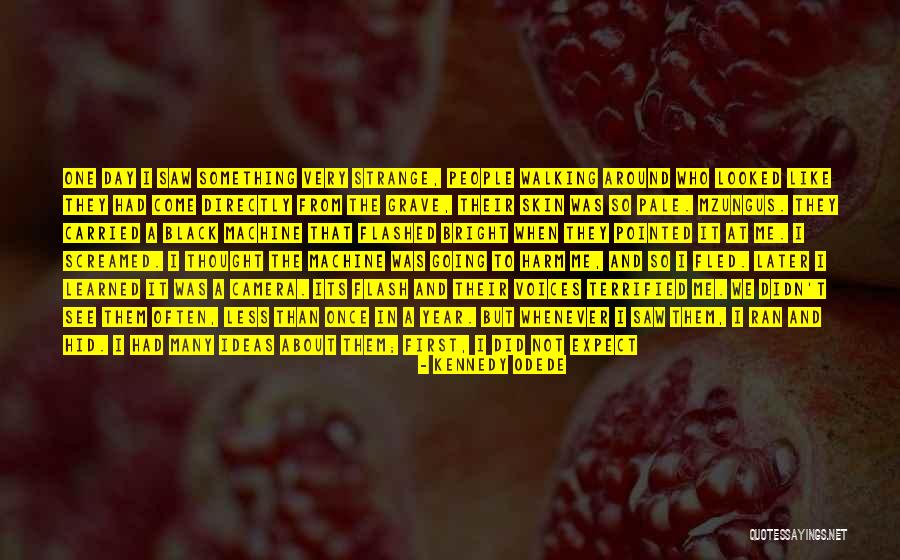 Smart Ideas Quotes By Kennedy Odede Smart Ideas Quotes By Kennedy Odede