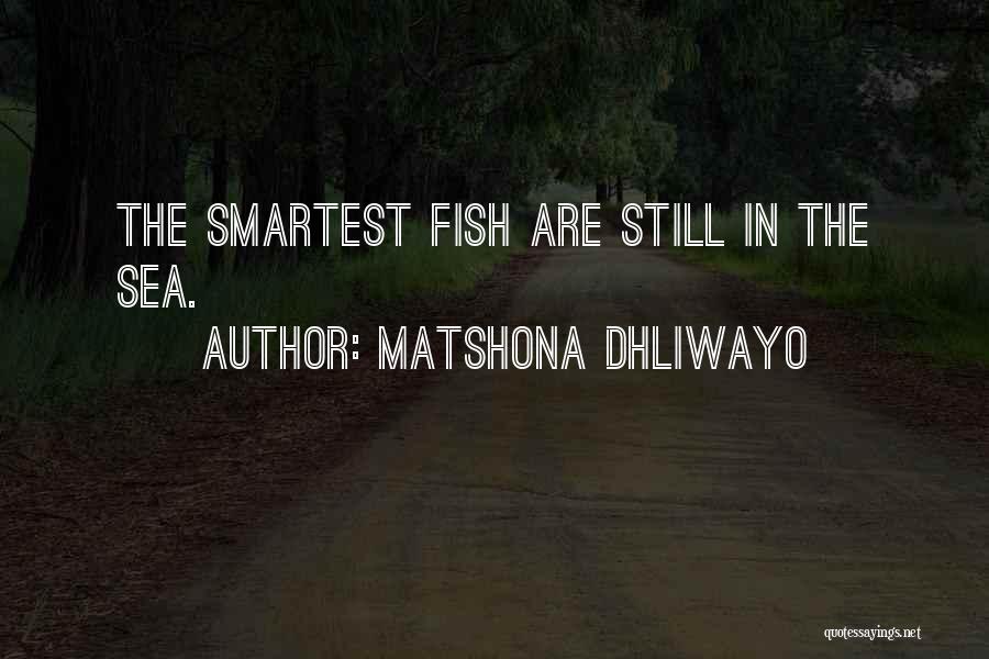 Smart Life Lesson Quotes By Matshona Dhliwayo