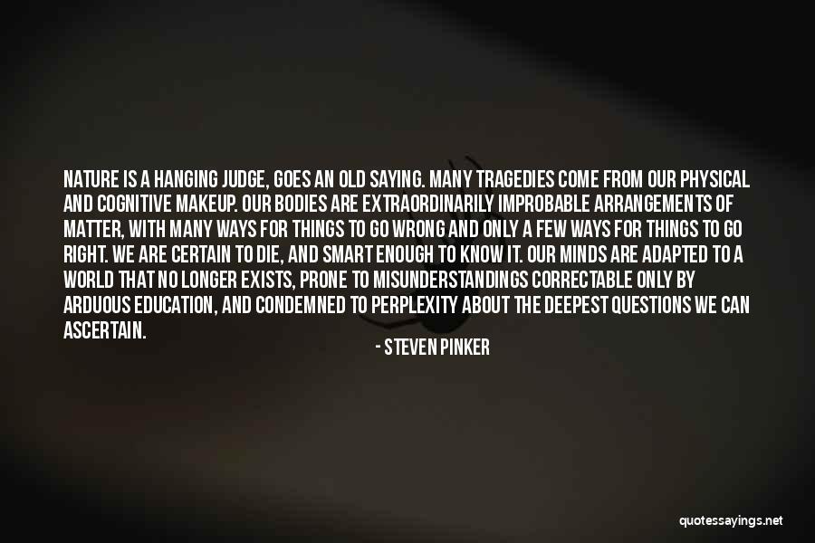 Smart Minds Quotes By Steven Pinker