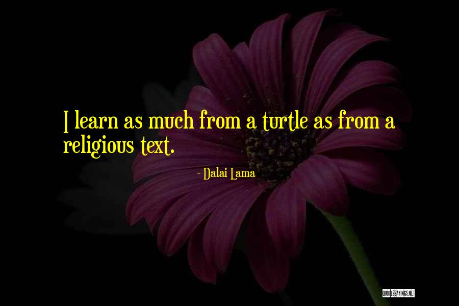 Smart Text Promo Quotes By Dalai Lama