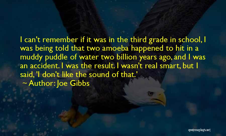 Smart Water Quotes By Joe Gibbs