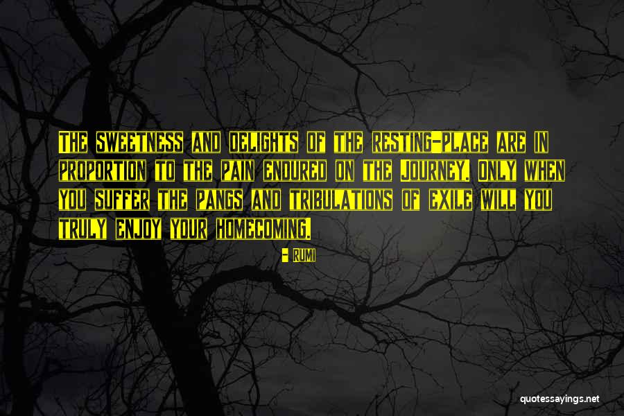Smartbet Quotes By Rumi Smartbet Quotes By Rumi