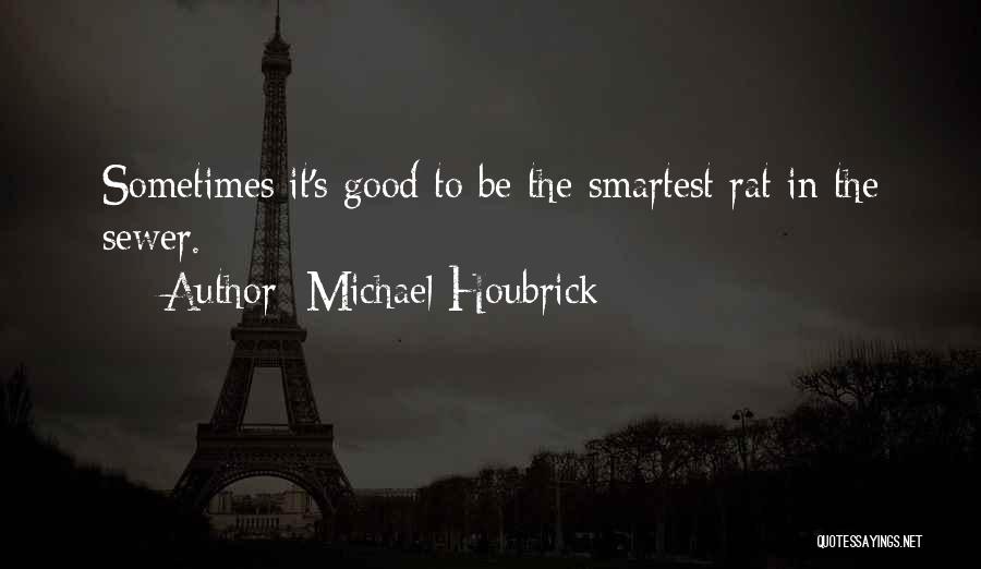 Smartest Funny Quotes By Michael Houbrick