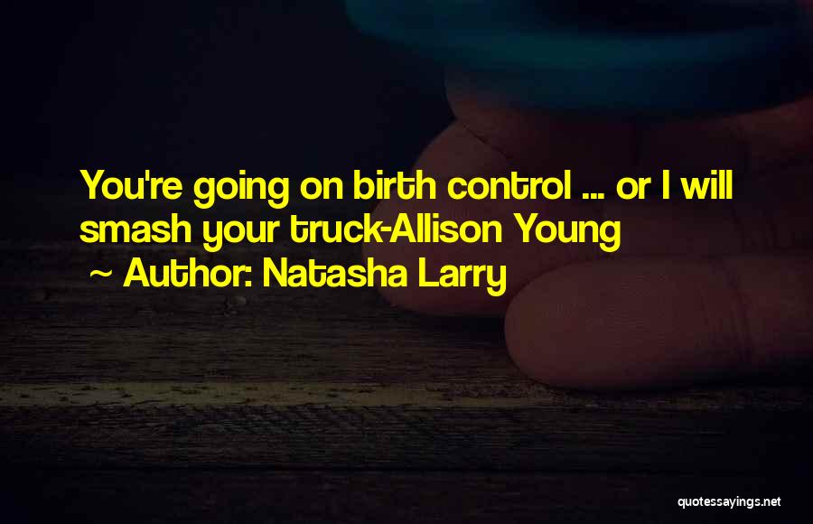 Smash Book Quotes By Natasha Larry