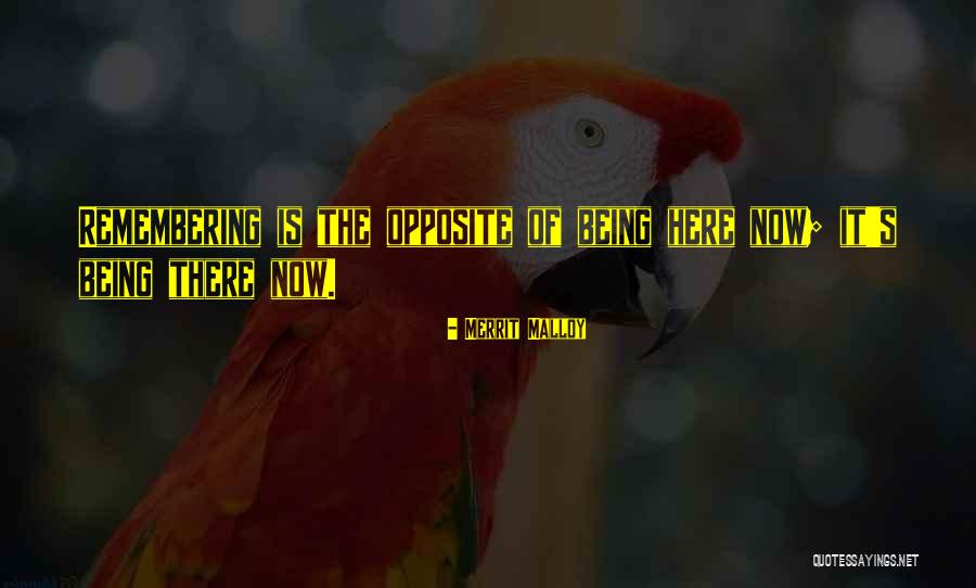 Smell Of Success In The Morning Quotes By Merrit Malloy Smell Of Success In The Morning Quotes By Merrit Malloy