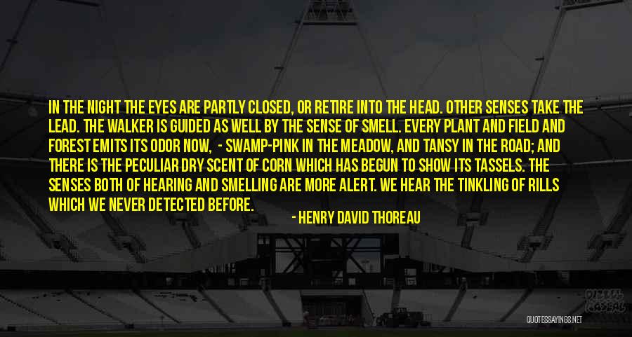 Smell Or Odor Quotes By Henry David Thoreau Smell Or Odor Quotes By Henry David Thoreau