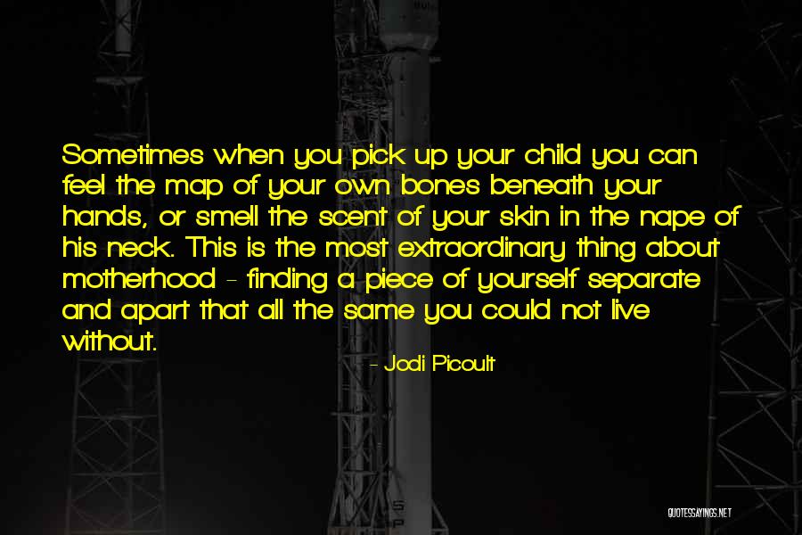 Smell Or Scent Quotes By Jodi Picoult Smell Or Scent Quotes By Jodi Picoult