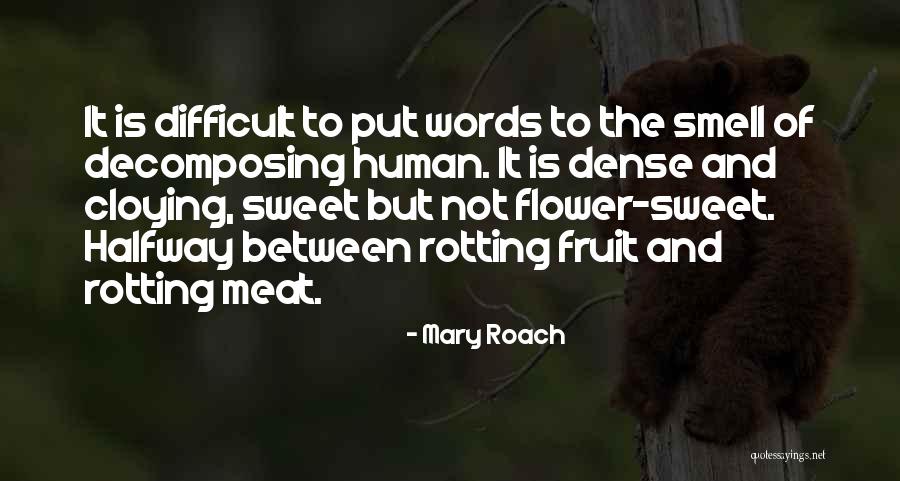 Smell The Flower Quotes By Mary Roach Smell The Flower Quotes By Mary Roach