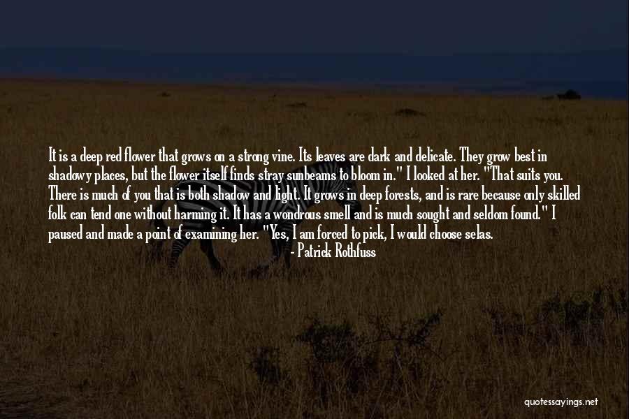Smell The Flower Quotes By Patrick Rothfuss Smell The Flower Quotes By Patrick Rothfuss