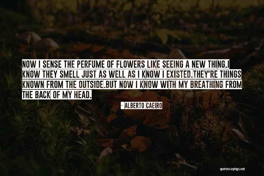 Smell The Flowers Quotes By Alberto Caeiro Smell The Flowers Quotes By Alberto Caeiro