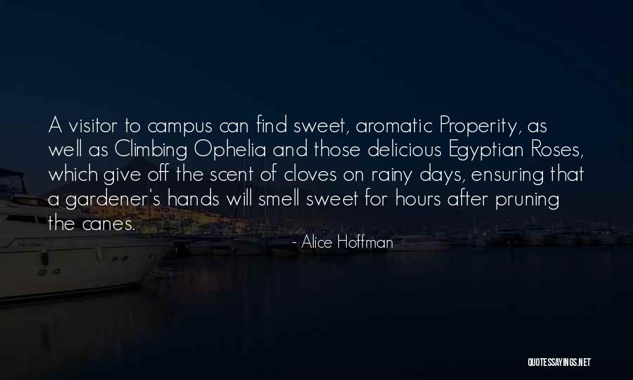 Smell The Roses Quotes By Alice Hoffman Smell The Roses Quotes By Alice Hoffman