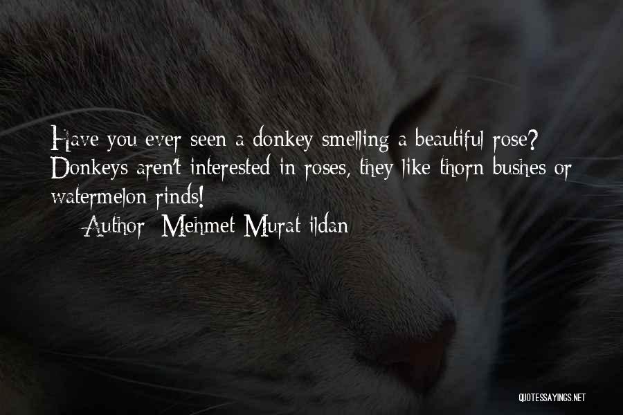 Smelling The Roses Quotes By Mehmet Murat Ildan