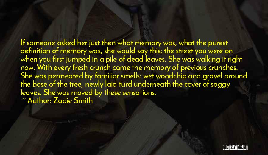 Smells Memory Quotes By Zadie Smith