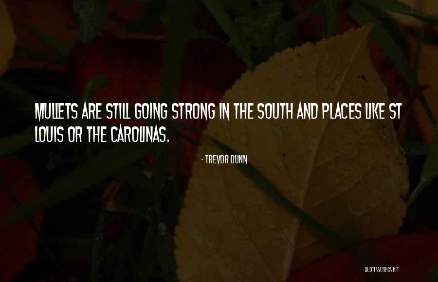 Smethet Quotes By Trevor Dunn Smethet Quotes By Trevor Dunn