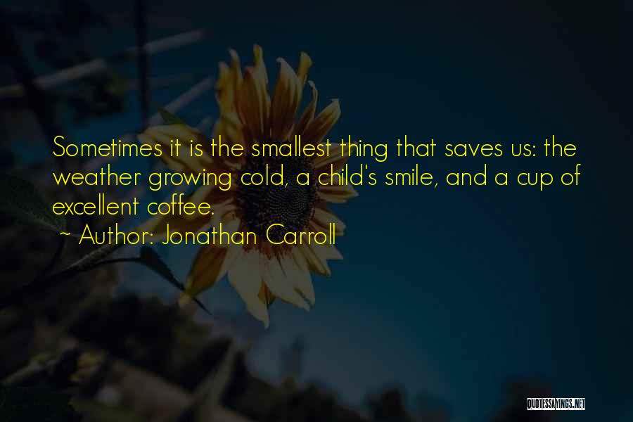 Smile Sometimes Quotes By Jonathan Carroll