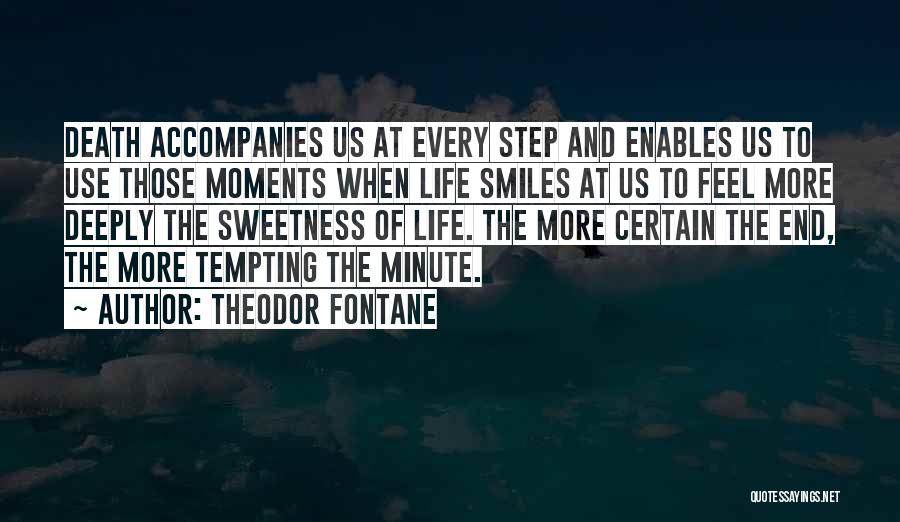 Smiles And Life Quotes By Theodor Fontane