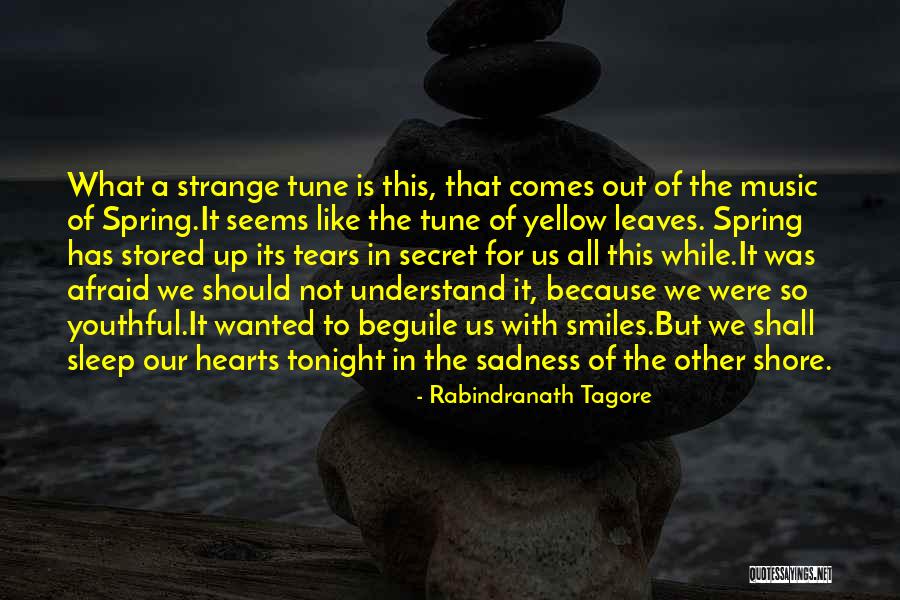 Smiles And Sadness Quotes By Rabindranath Tagore