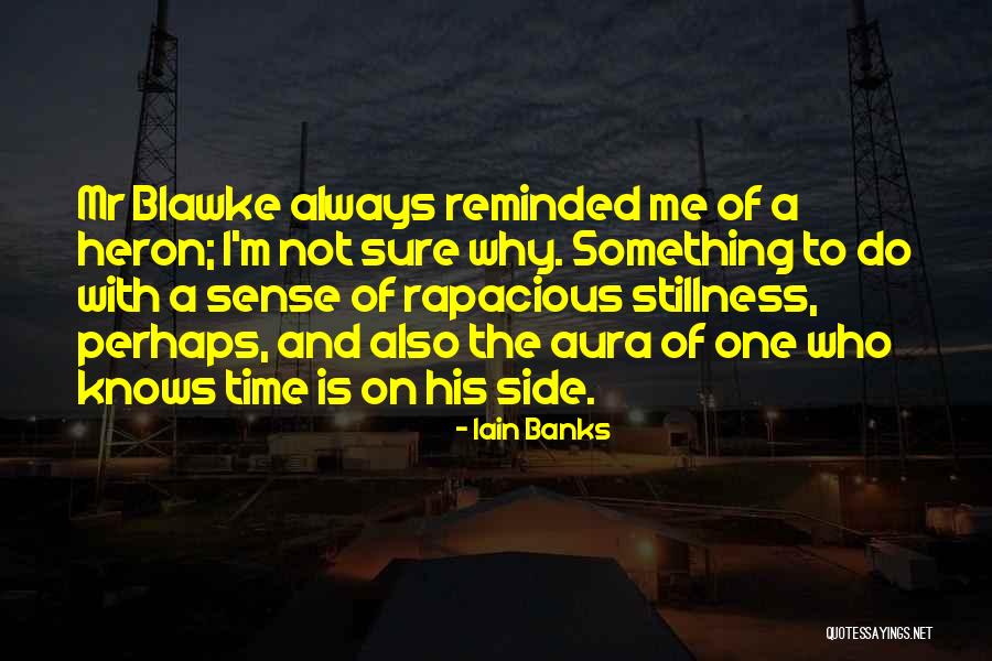 Smiles Hiding Tears Quotes By Iain Banks Smiles Hiding Tears Quotes By Iain Banks