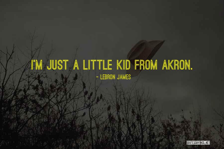 Smillas Snow Quotes By LeBron James