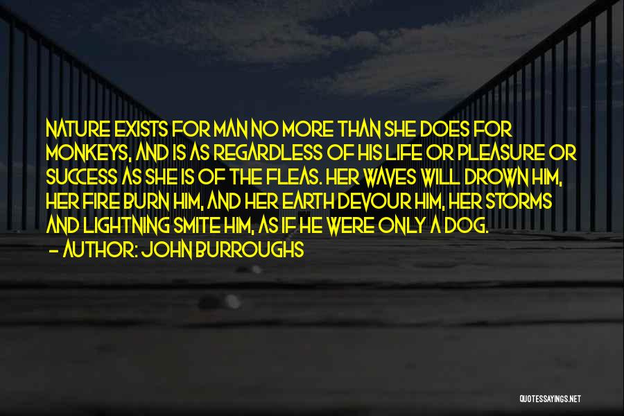 Smite Quotes By John Burroughs