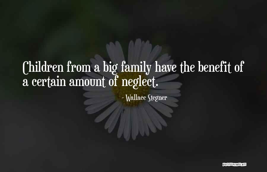 Smiter Build Quotes By Wallace Stegner Smiter Build Quotes By Wallace Stegner