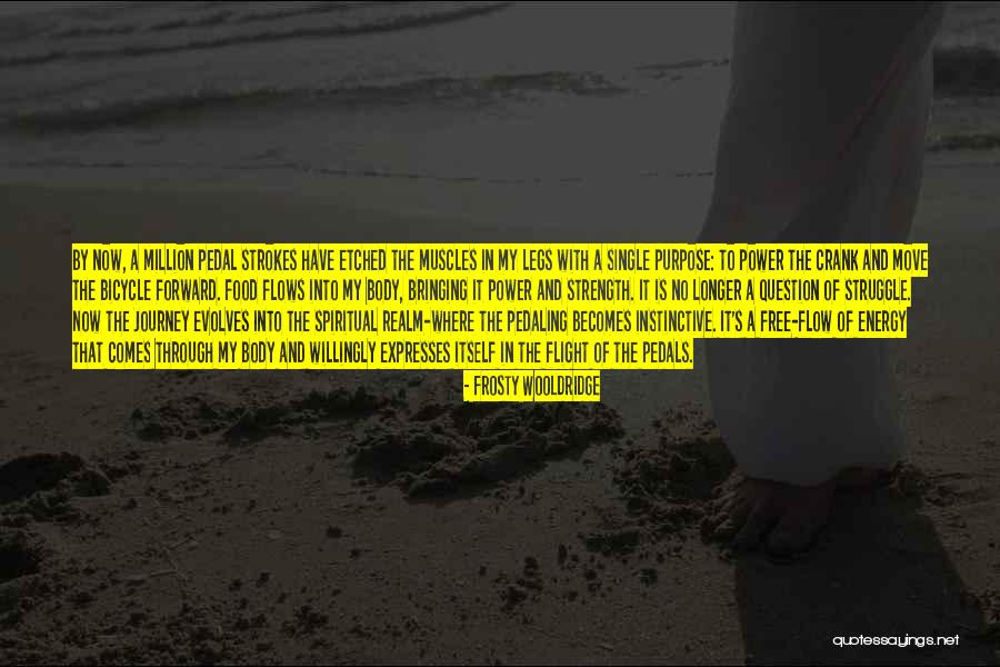 Smithe Quotes By Frosty Wooldridge Smithe Quotes By Frosty Wooldridge