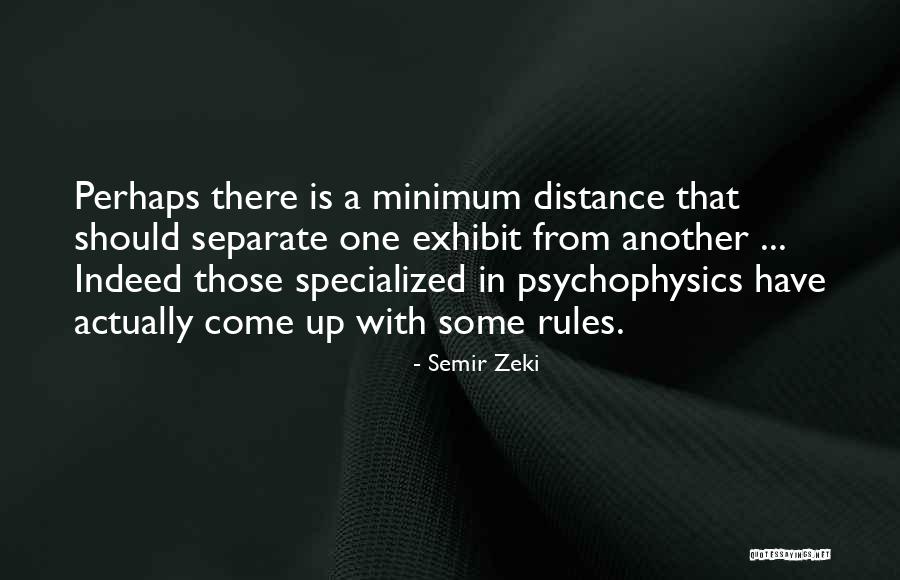 Smither Park Quotes By Semir Zeki Smither Park Quotes By Semir Zeki