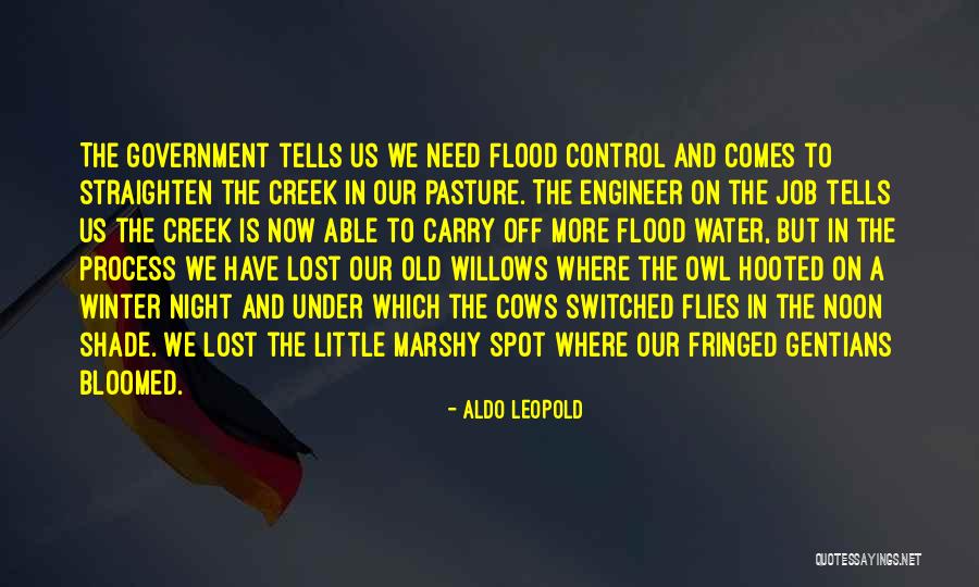 Smoke Bitten Quotes By Aldo Leopold Smoke Bitten Quotes By Aldo Leopold