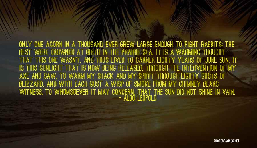 Smoke In The Sun Quotes By Aldo Leopold Smoke In The Sun Quotes By Aldo Leopold