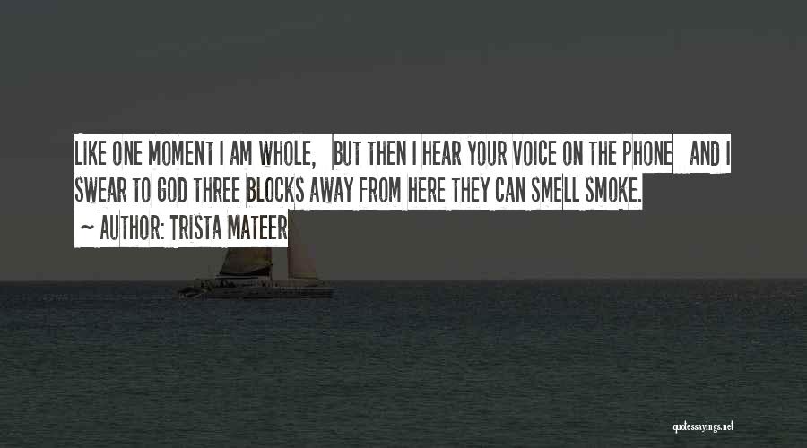 Smoke Like Quotes By Trista Mateer