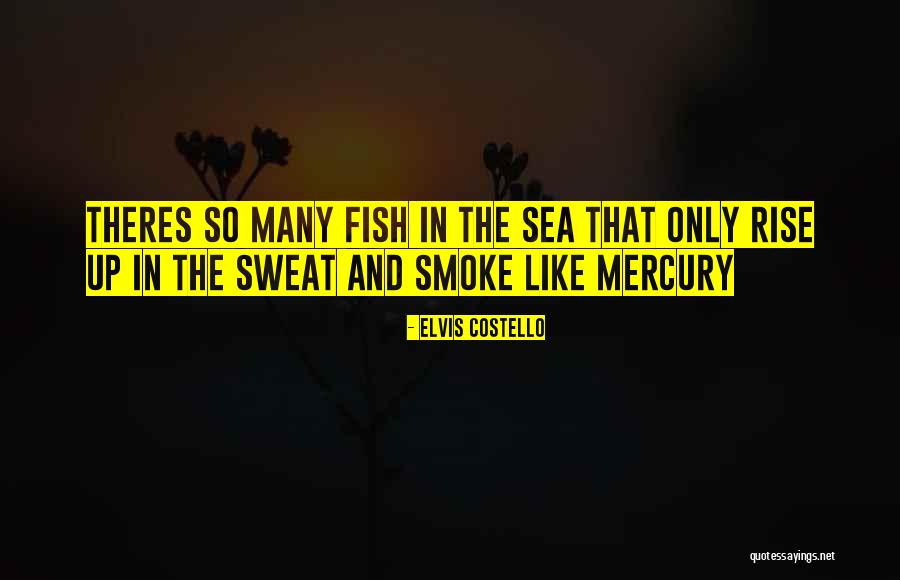 Smoke Up Quotes By Elvis Costello Smoke Up Quotes By Elvis Costello