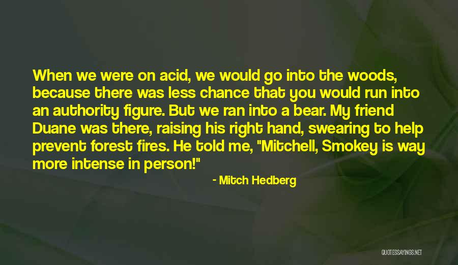 Smokey The Bear Quotes By Mitch Hedberg Smokey The Bear Quotes By Mitch Hedberg