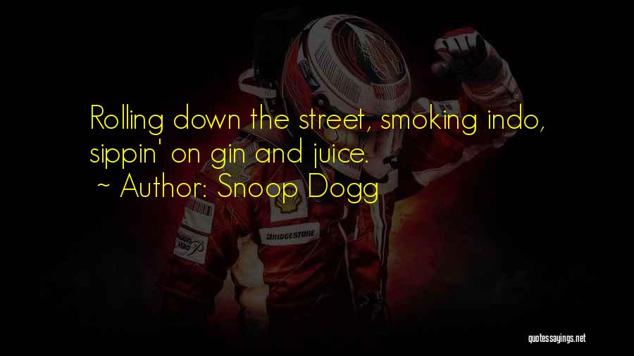 Smoking And Alcohol Quotes By Snoop Dogg