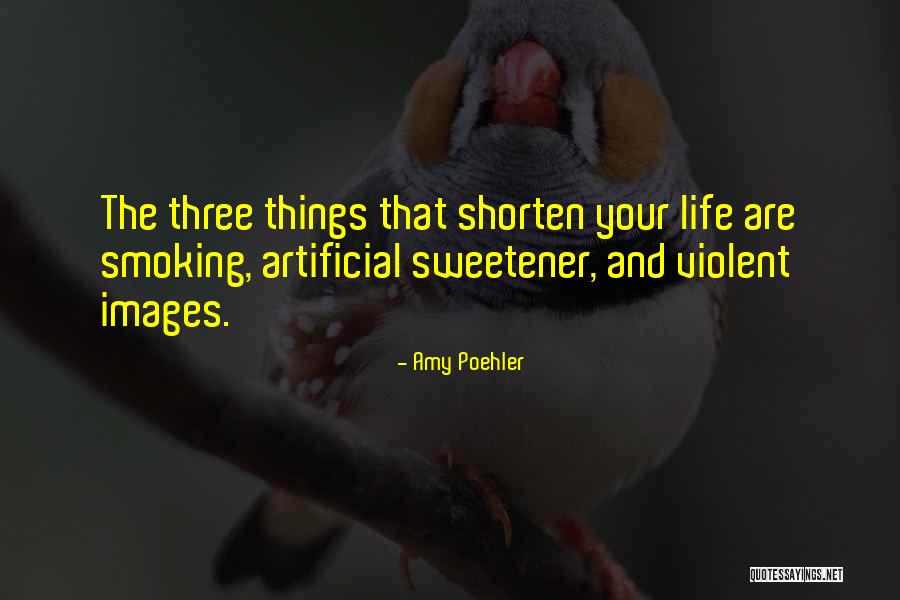 Smoking And Life Quotes By Amy Poehler Smoking And Life Quotes By Amy Poehler