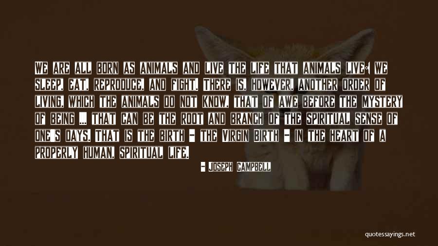 Smoking Itchy Quotes By Joseph Campbell Smoking Itchy Quotes By Joseph Campbell