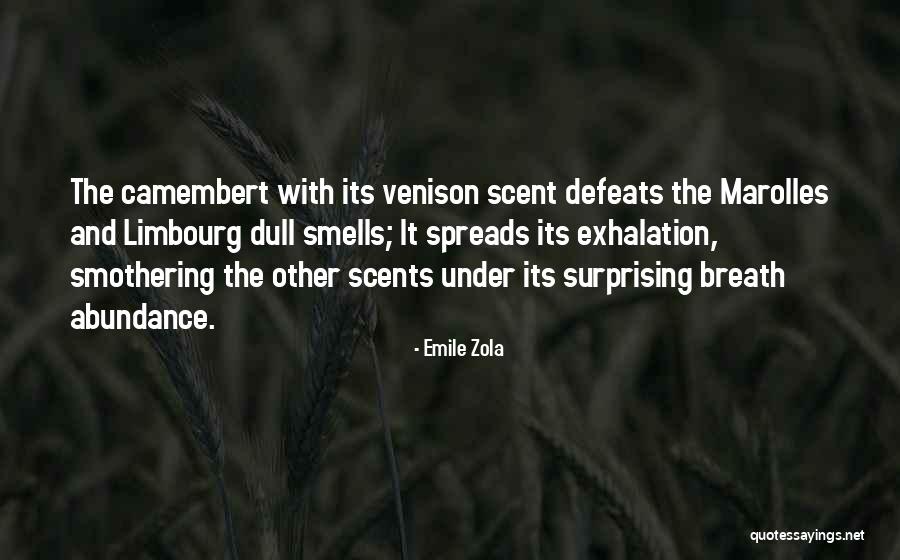 Smothering Quotes By Emile Zola Smothering Quotes By Emile Zola