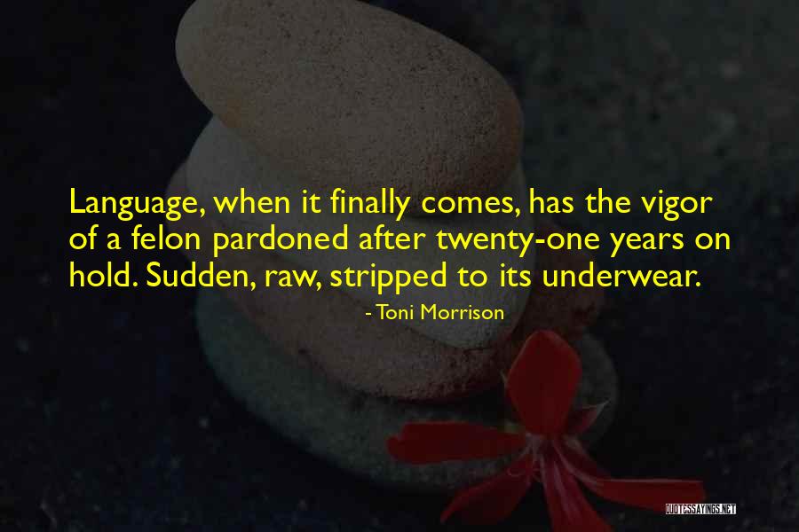 Snackwell Cookie Quotes By Toni Morrison Snackwell Cookie Quotes By Toni Morrison